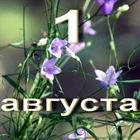 Август